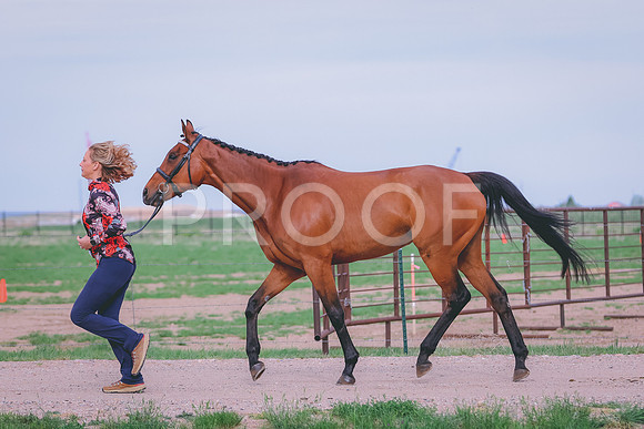 BYR_0384