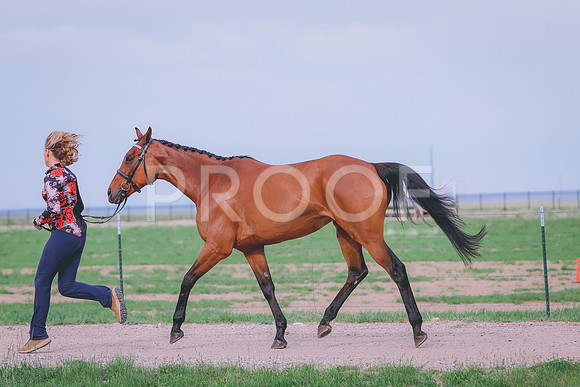 BYR_0418