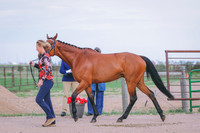 BYR_0343
