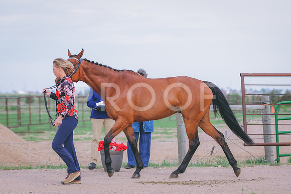 BYR_0343