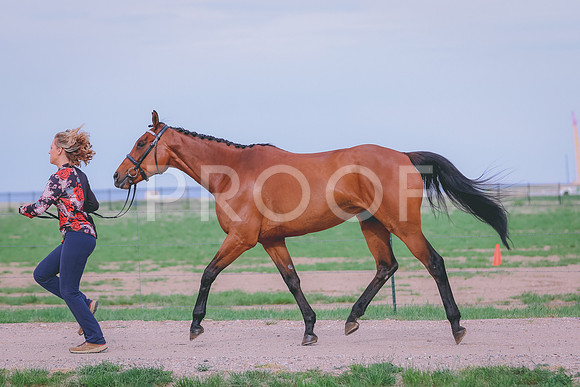 BYR_0394