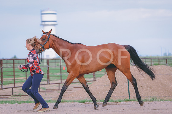 BYR_0368