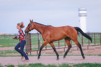 BYR_0371