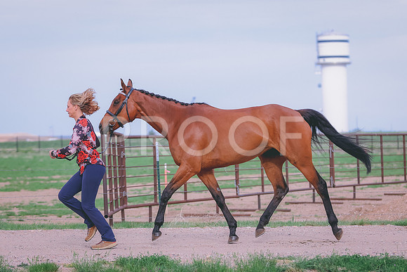 BYR_0371