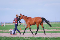 BYR_0429