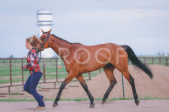 BYR_0367