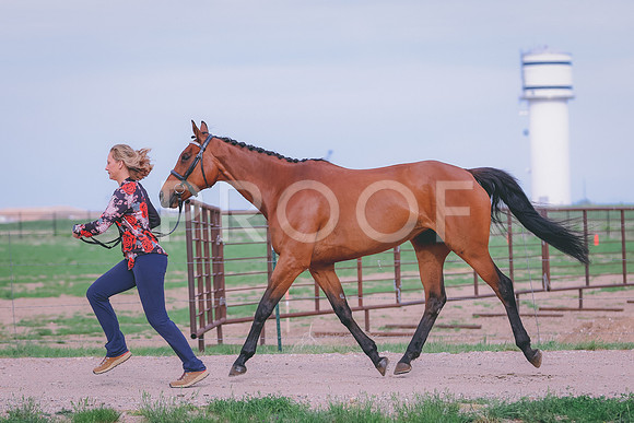 BYR_0373