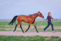BYR_0472