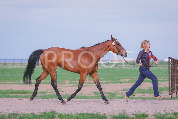 BYR_0498