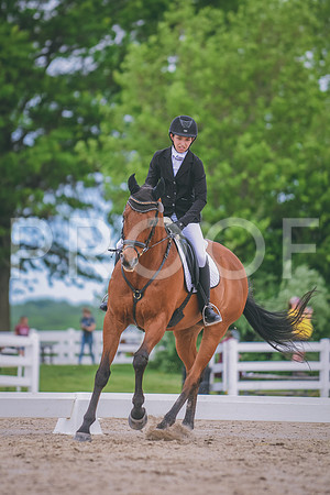 DSC_3356 copy