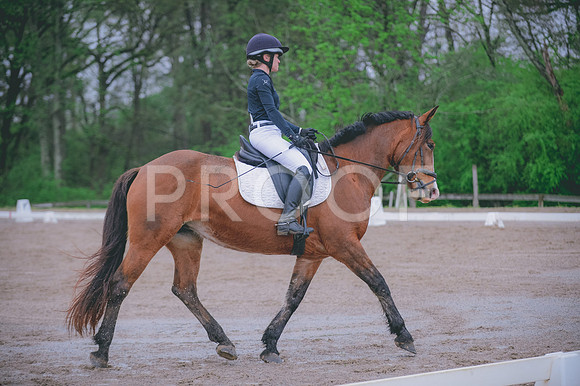 JJS_6814