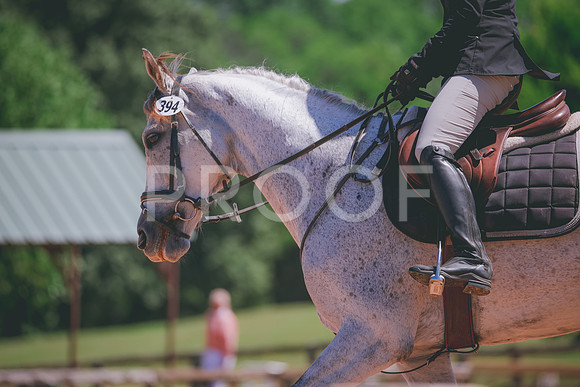RWP_0372