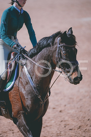 JJS_3932