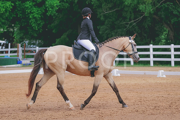 BYR_0576