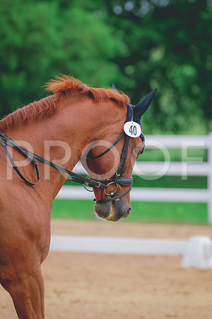 BYR_0717