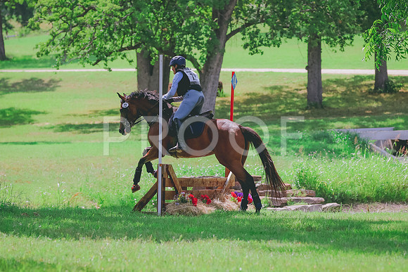 BYR_7696 (2)