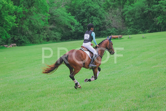 BYR_0176