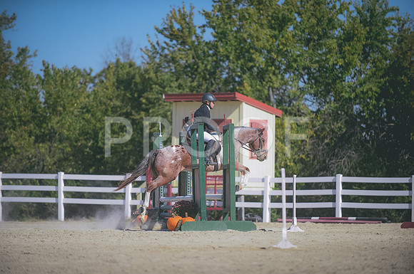 JJS_7245