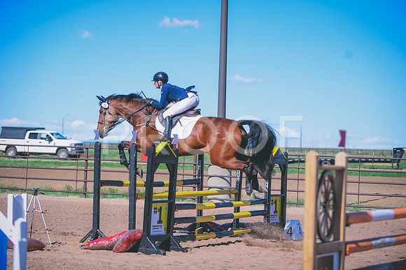 DSC_2011