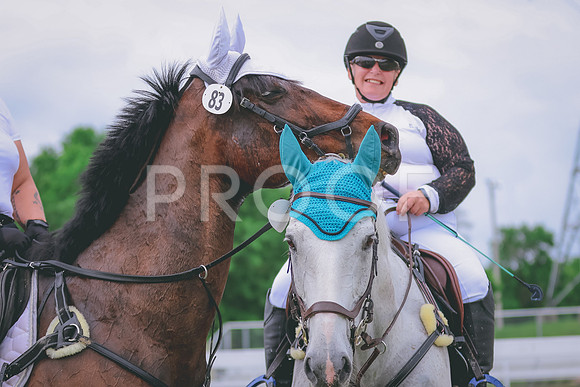 BYR_0219