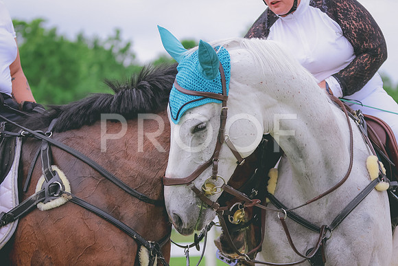BYR_0197