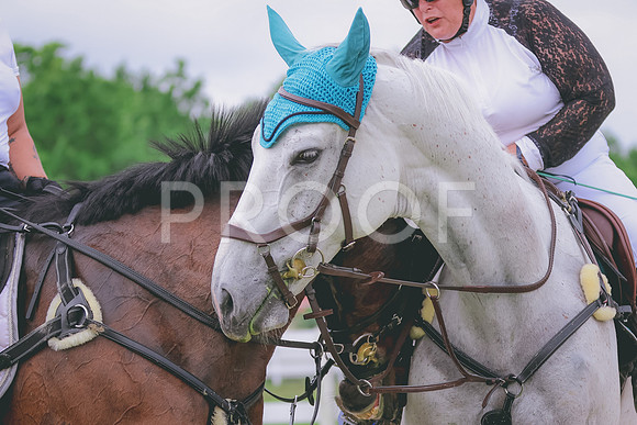 BYR_0205