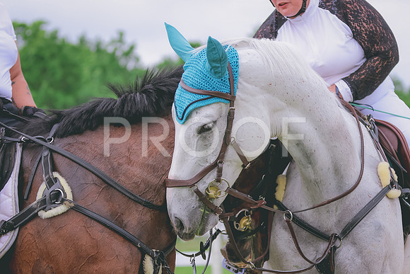 BYR_0198