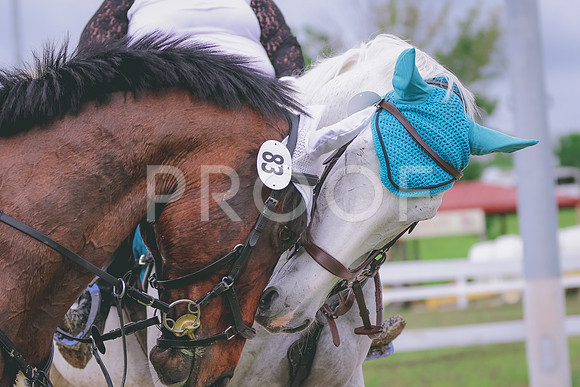 BYR_0166