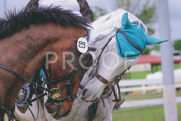 BYR_0160