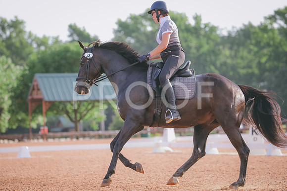 RWP_4254