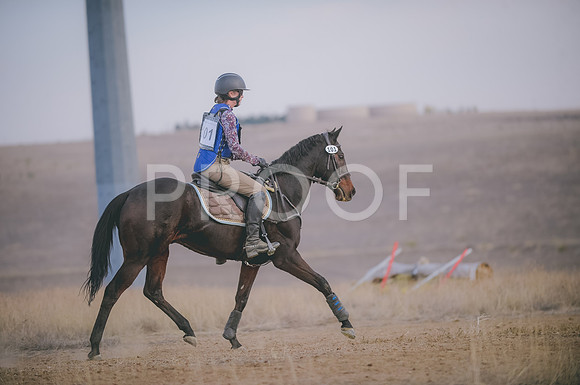 JJS_6356