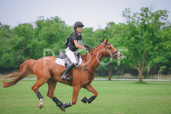 RWP_0425