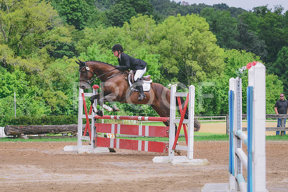 DSC_1644