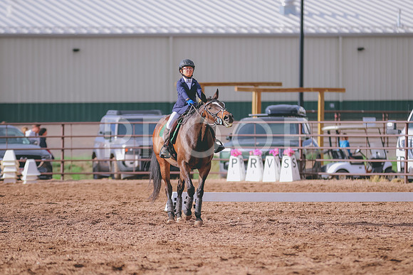 BYR_8384