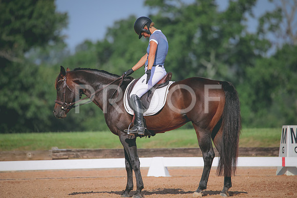RWP_4616