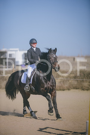 JJS_0830