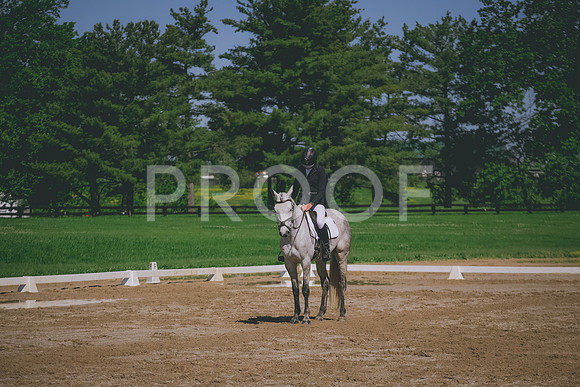 2E8A6580
