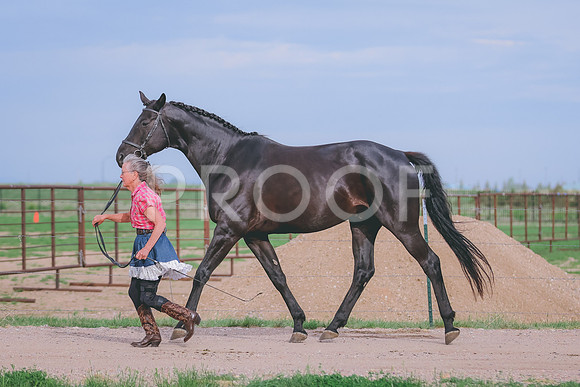BYR_0589