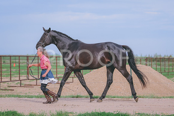 BYR_0590