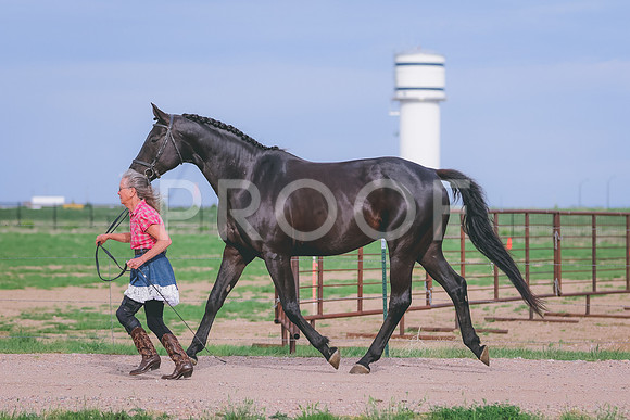 BYR_0601