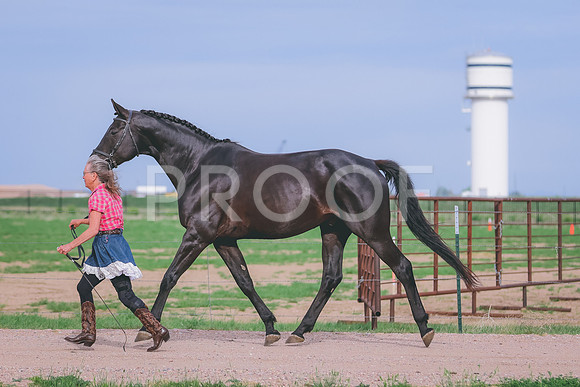 BYR_0614