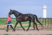BYR_0615