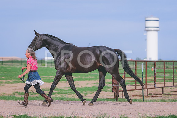 BYR_0615