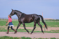 BYR_0621