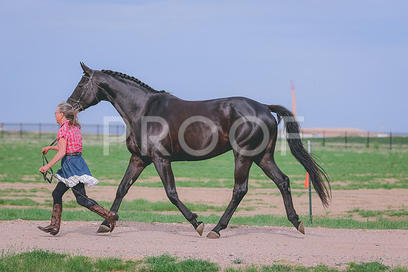 BYR_0621
