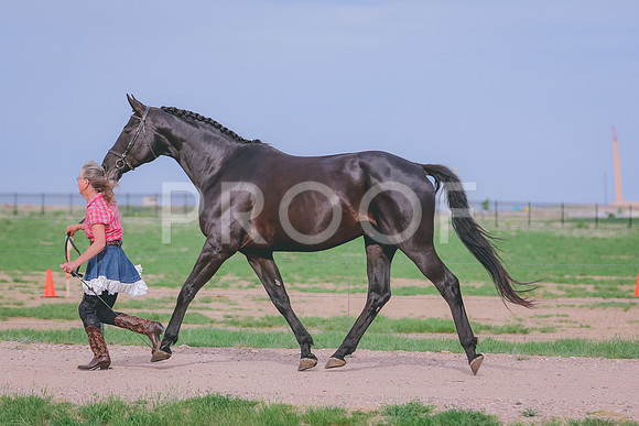 BYR_0634