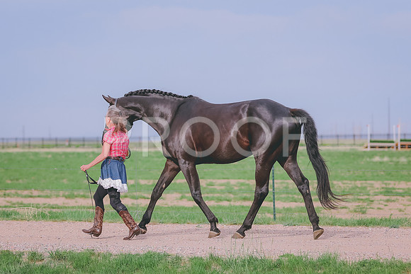 BYR_0652