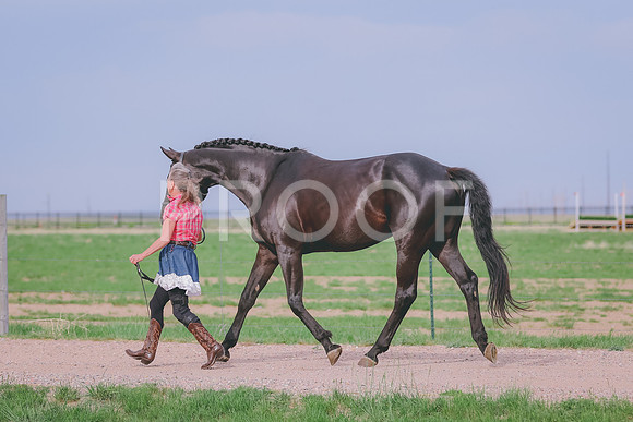 BYR_0653