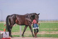 BYR_0698