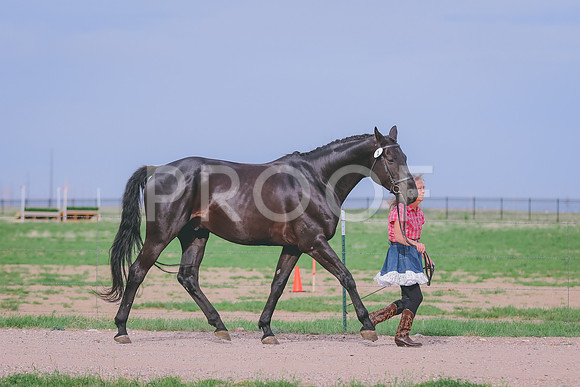 BYR_0733
